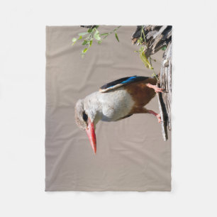 Grey-Headed Kingfisher Fleece Blanket