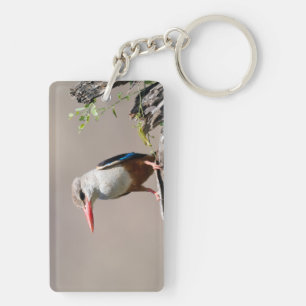 Grey-Headed Kingfisher Key Ring