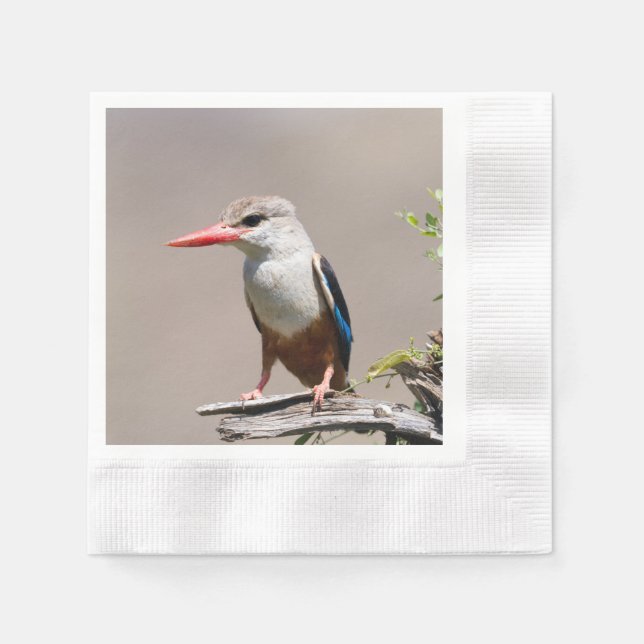 Grey-Headed Kingfisher Napkin (Front)