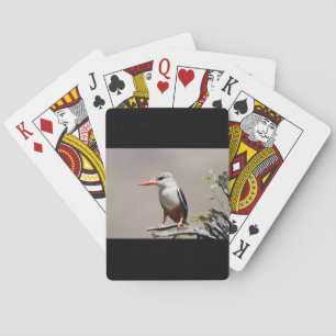 Grey-Headed Kingfisher Playing Cards