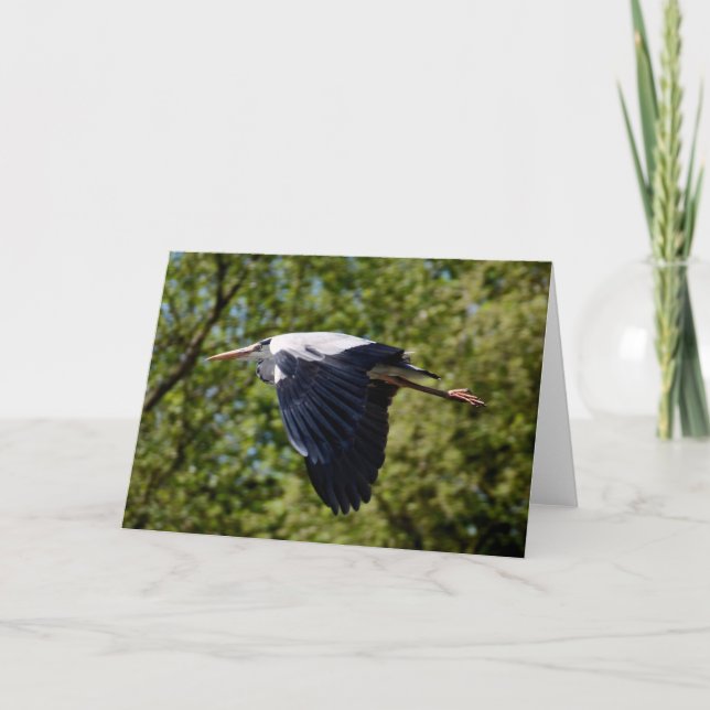 Grey heron flying blank greeting card (Front)