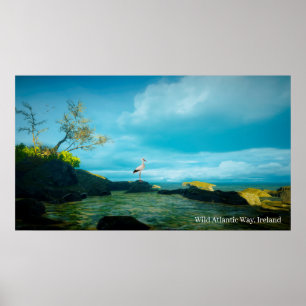 Grey Heron image for Poster