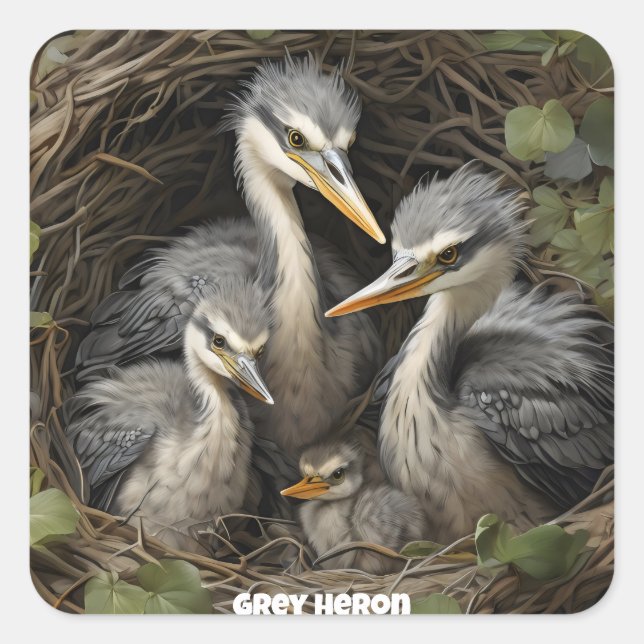 Grey Heron in nest Square Sticker (Front)