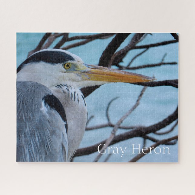 Grey Heron Jigsaw Puzzle (Horizontal)