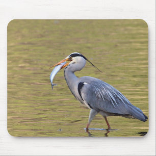 Grey Heron Mouse Pad