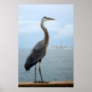 grey heron on the pier poster