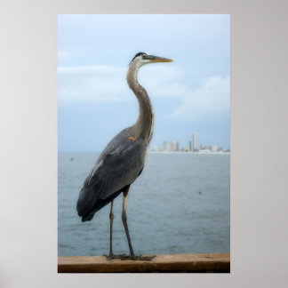 grey heron on the pier poster
