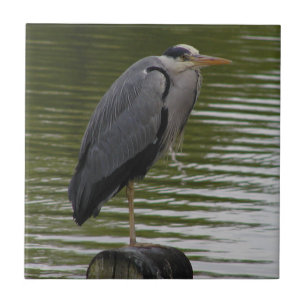 Grey Heron Tile