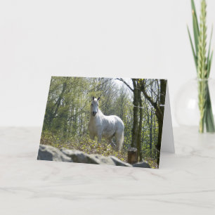 Grey horse Birthday card