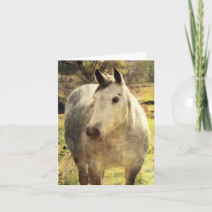 Grey Horse Birthday Card