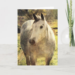 Grey Horse Card