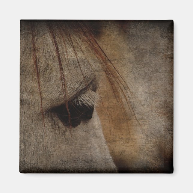 Grey Horse Face Grunge Magnet (Front)
