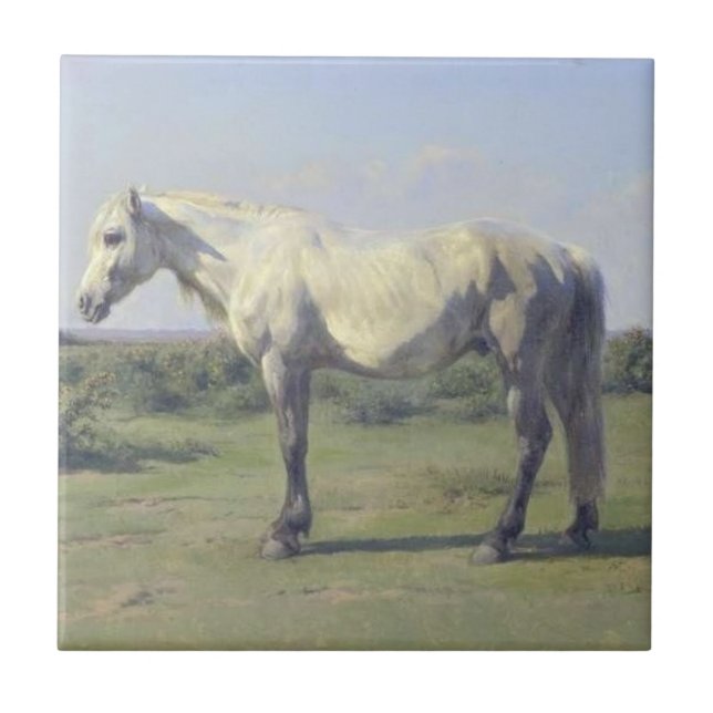 Grey Horse in a Field (by Rosa Bonheur) Ceramic Tile (Front)