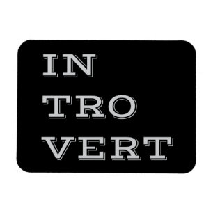 Grey Introvert Flexi Magnet