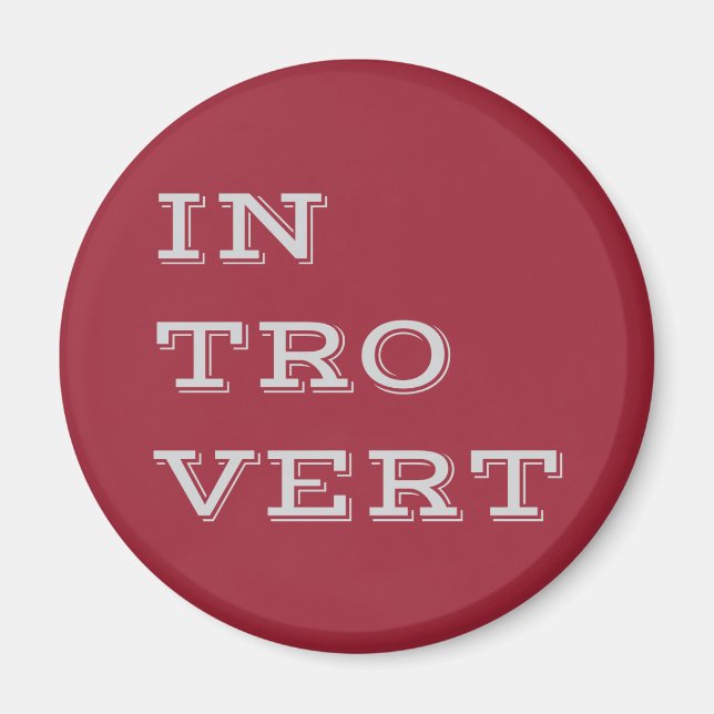 Grey Introvert Magnet (Front)