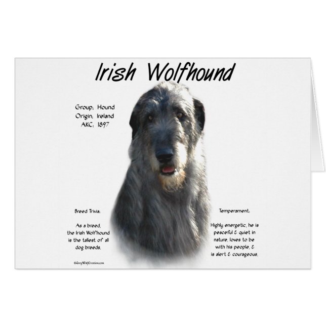 Grey Irish Wolfhound History  (Front Horizontal)