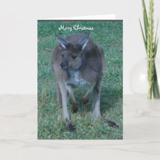 Grey Kangaroo Christmas Holiday Card