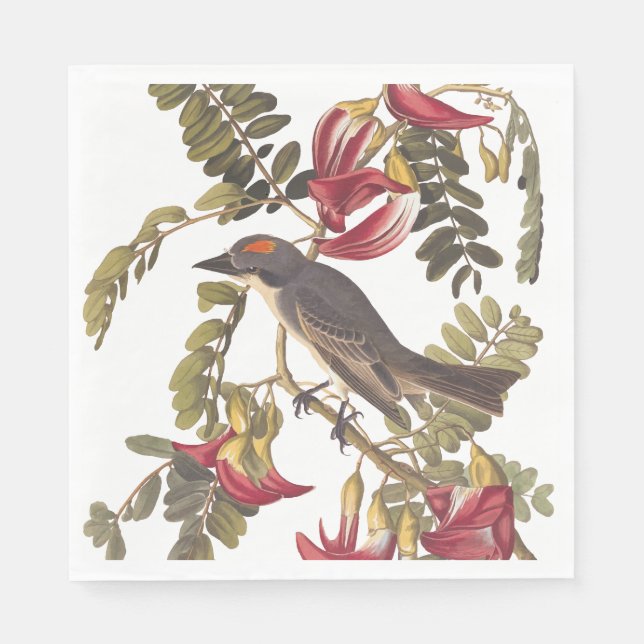 Grey Kingbird Audubon Bird on Flowering Tree Napkin (Front)