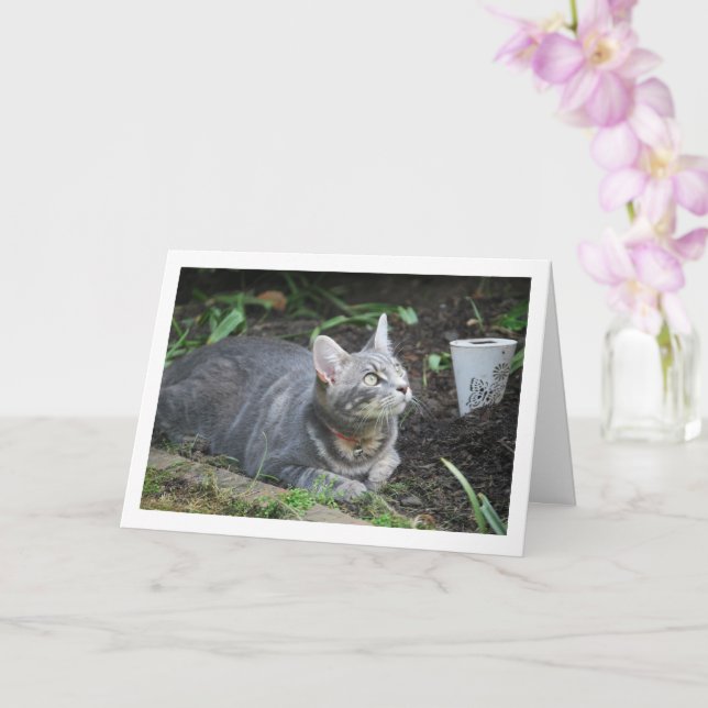 Grey Kitten and Garden Lamp Card (Orchid)