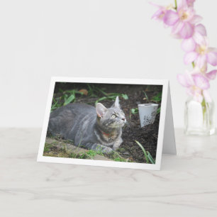 Grey Kitten and Garden Lamp Card