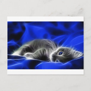 Grey Kitten Awakes Postcard