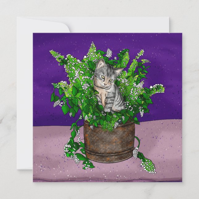 Grey Kitten in Bucket of Catnip   Thank You Card (Front)