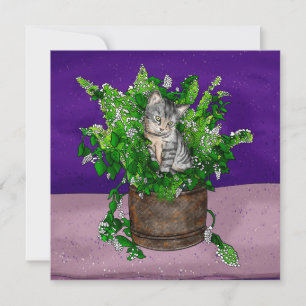 Grey Kitten in Bucket of Catnip   Thank You Card