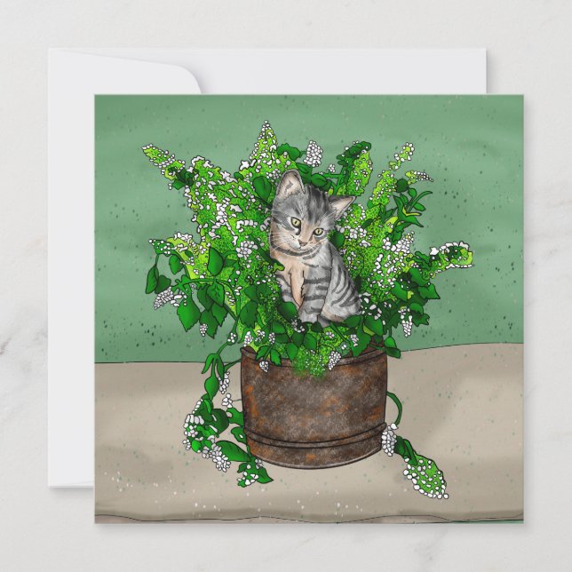 Grey Kitten in Bucket of Catnip  Thank You Card (Front)