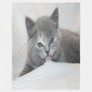 Grey Kitten Licking Snow Fleece Blanket