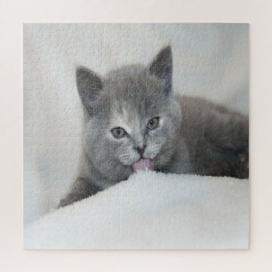 Grey Kitten Licking Snow Jigsaw Puzzle