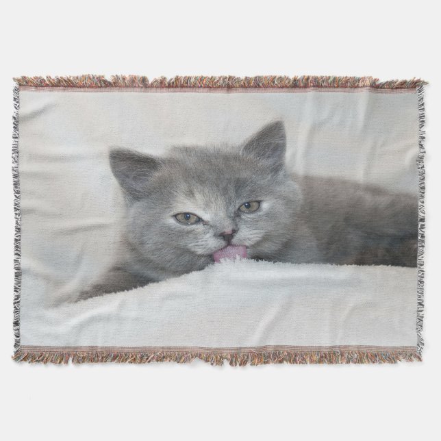 Grey Kitten Licking Snow Throw Blanket (Front)