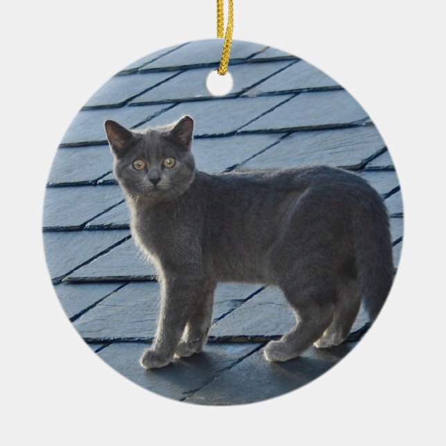 Grey Kitten Ornament (Front)