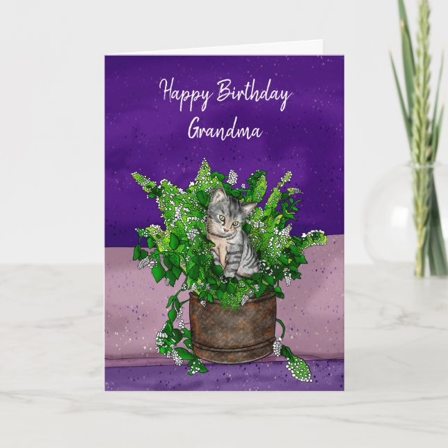 Grey Kitten sitting in a Pot of Catnip Birthday   Card (Front)