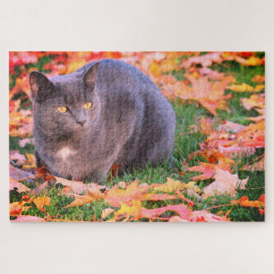 Grey Kitty Cat Jigsaw Puzzle