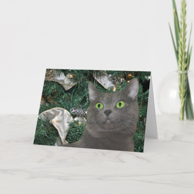 Grey kitty Christmas Holiday Card (Front)