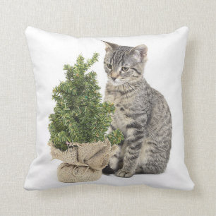 Grey Kitty Green Tree Cushion