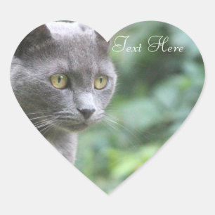 Grey Kitty Heart Sticker