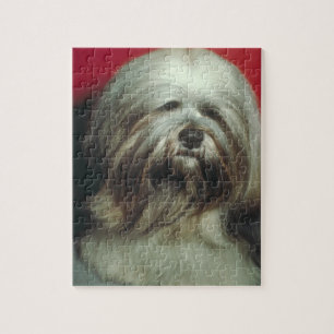 Grey Lhasa Apso Dog Puzzle