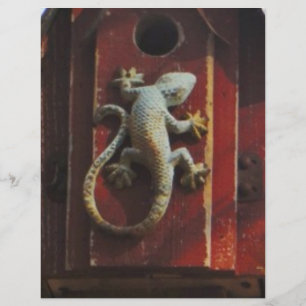 grey lizard on worn wood