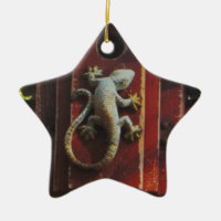 grey lizard on worn wood