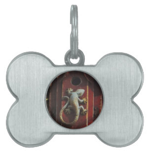 grey lizard on worn wood pet ID tag