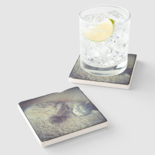 Grey Long-Haired Cat-Instagram by Shirley Taylor Stone Coaster