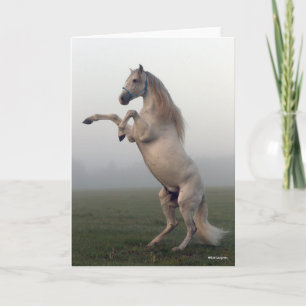 Grey Lusitano Stallion Rearing In Mist Card