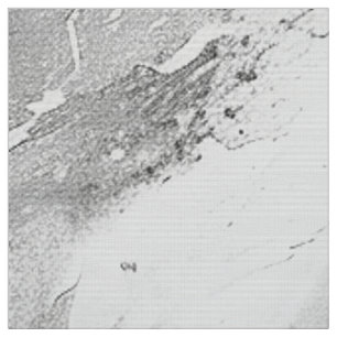 Grey 'Majestic Marble Impressions' Marble Texture Fabric
