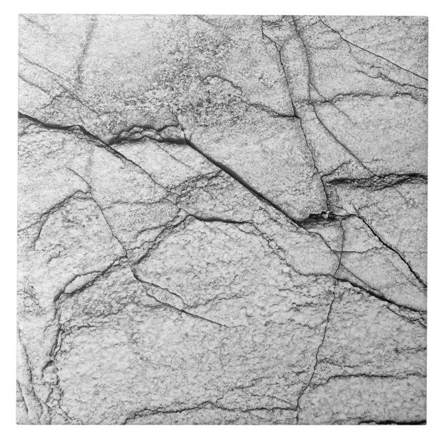 Grey Marble Dappled Concrete Ceramic Tile (Front)
