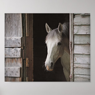 Grey Mare Horse & Barn Archival Poster