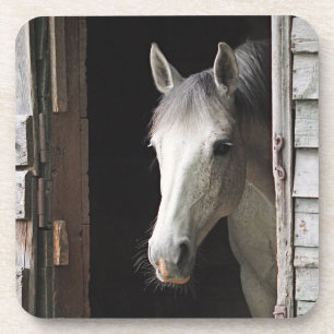 Grey Mare Horse Coaster