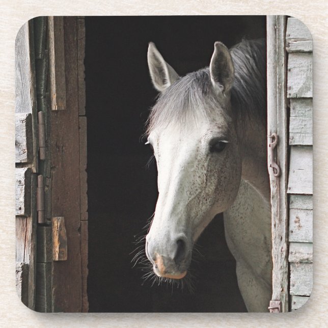 Grey Mare Horse Coaster (Front)