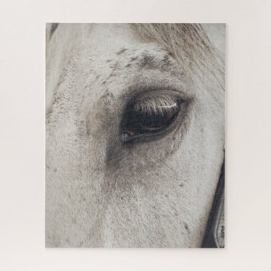Grey Mare Horse, Up Close Eye Jigsaw Puzzle
