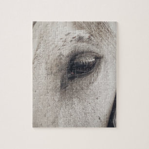 Grey Mare Horse, Up Close Eye Jigsaw Puzzle